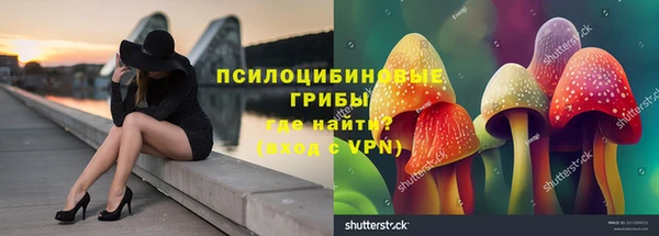 стаф Покровск