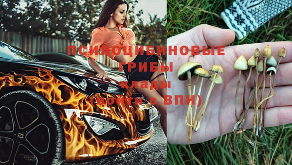 дурь Баксан